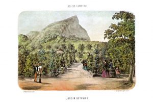 Jardim Botânico do Rio de Janeiro - P. G. Bertichem