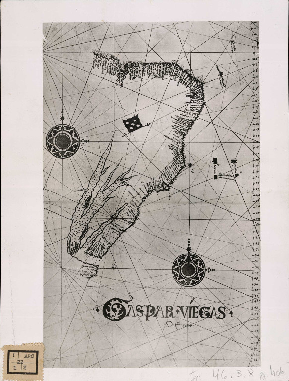 VIEGAS, Gaspar L. O Brasil no mapa de Gaspar Viegas ( 1534 ). Acervo digital da Biblioteca Nacional.