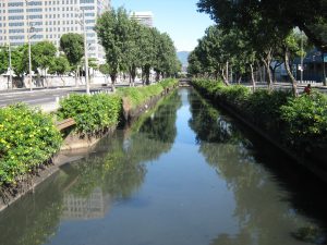 Canal do Mangue