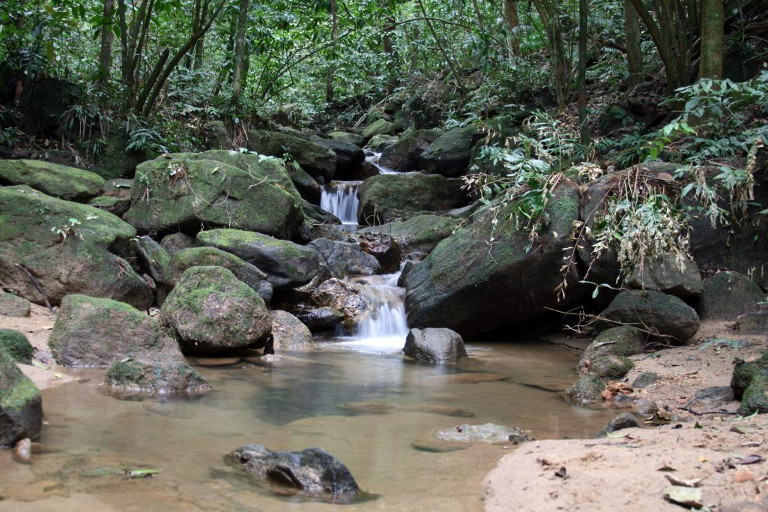 Caminho das Almas na Floresta da Tijuca