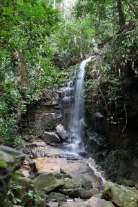 Cachoeira das Almas