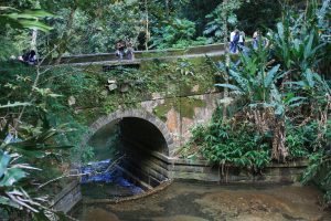 Ponte Job de Alcântara, na Floresta da Tijuca