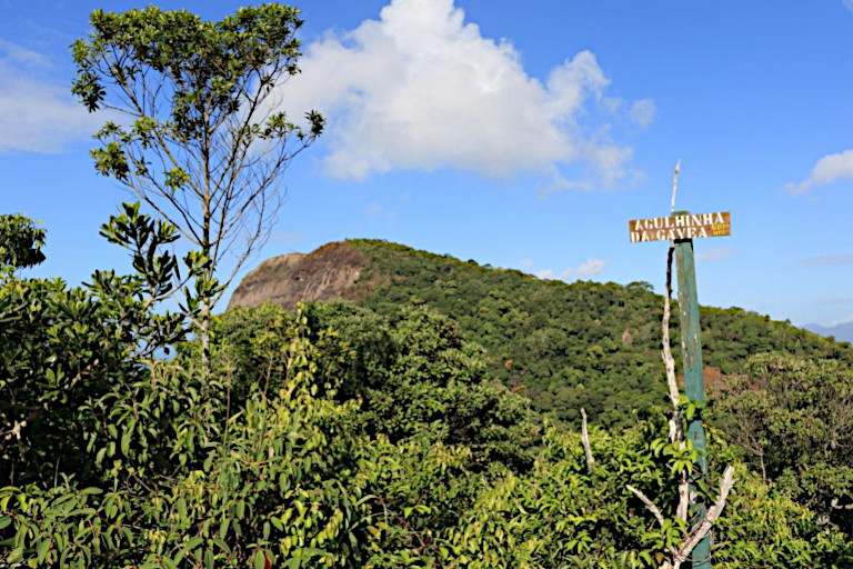 Agulhinha da Gávea